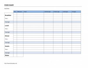 food diary template food diary x