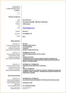 fre cv template curriculum vitae sample