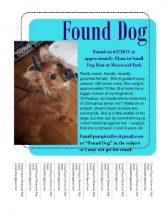 fre cv template found dog flyer