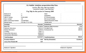 free bank statement template salary structure format in excel free download payslip format in excel free download