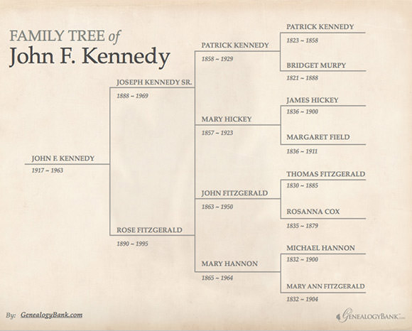 free editable family tree template word