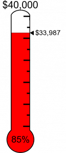 free fundraising thermometer kijdrlkiq