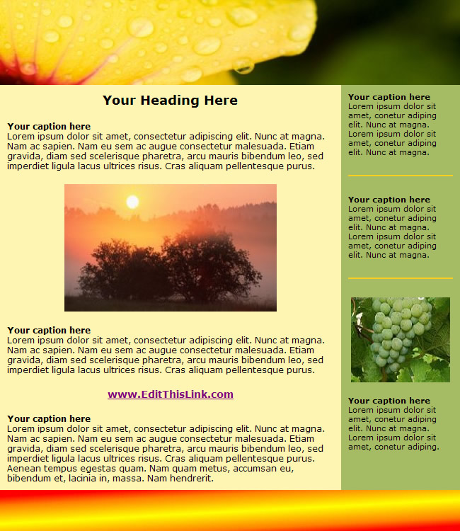 free newsletter template