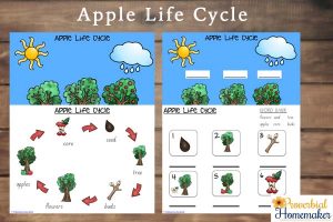 free printable lesson plans for toddlers apple life cycle