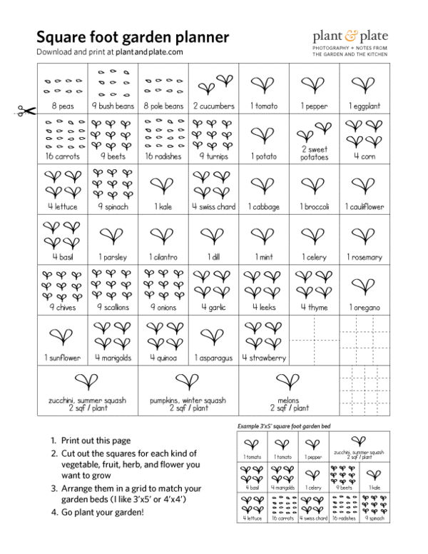 free printable medication list template