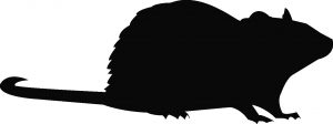 free program template rodent silhouette