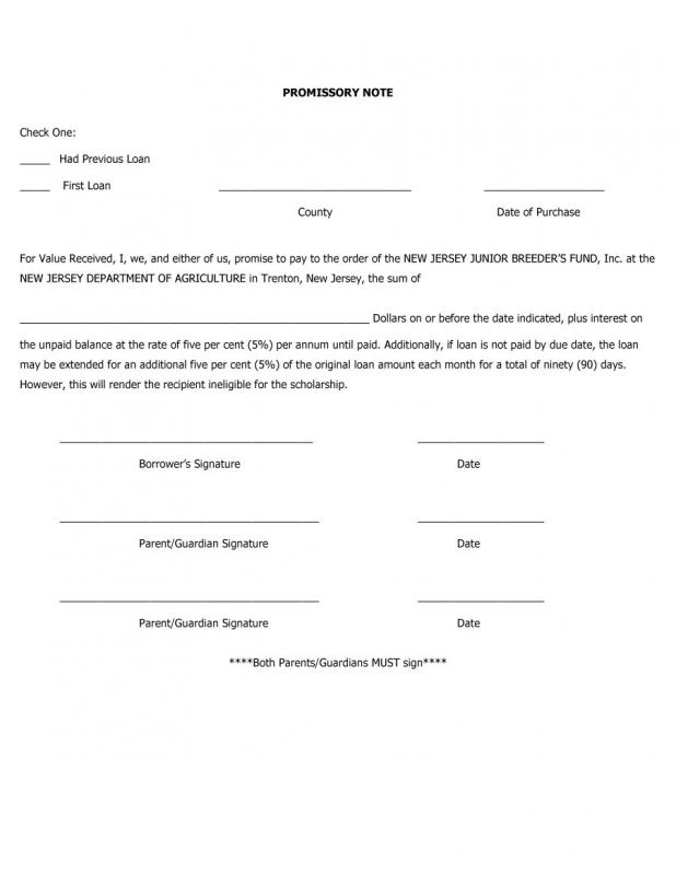 Blank Promissory Note Template