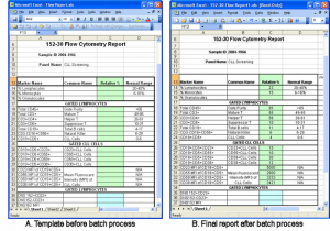 free report card template excel reporting templates hmfile hash bbd qhaeqr