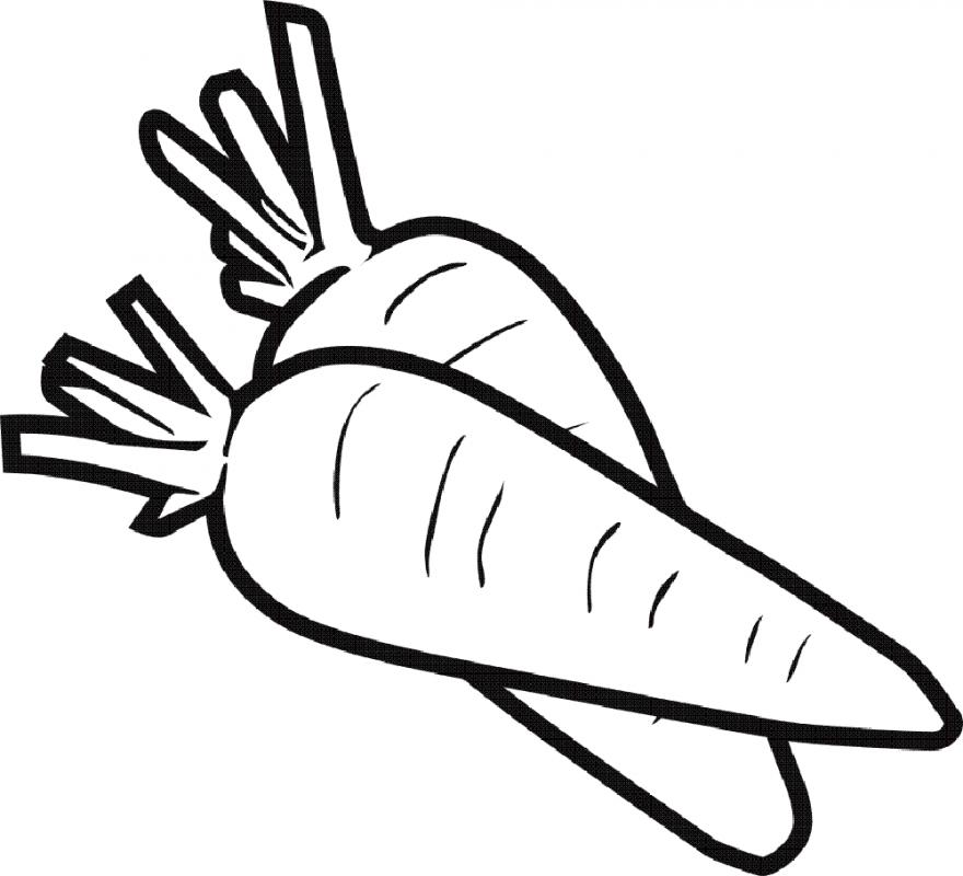 530 Carrot Coloring Pages Printable , Free HD Download