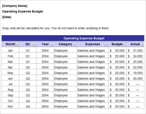 fundraising plan templates annual operating marketing budget plan template