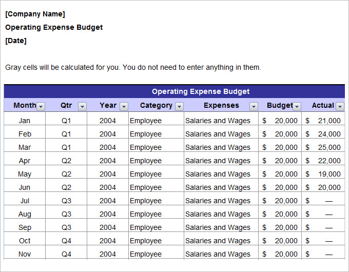 Fundraising Plan Templates  Template Business