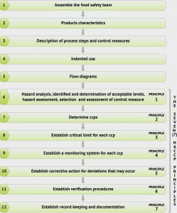 haccp plan example step