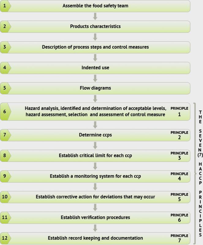 haccp plan example