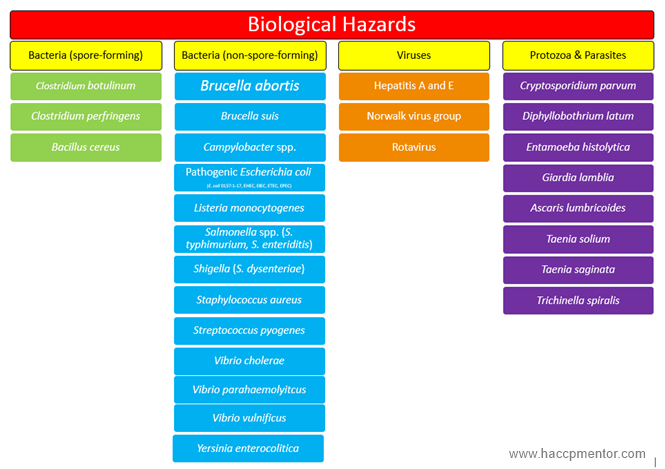 haccp plan example