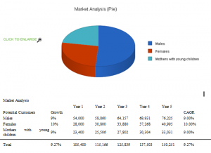 hair salon business plan market analysis