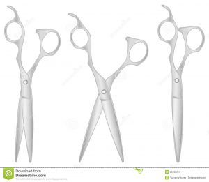 hair salon business plans silver scissors hairdresser