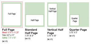 half page flyer template dimensions greenline