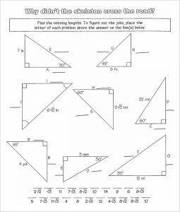 high school geometry worksheets right triangles high school worksheet template