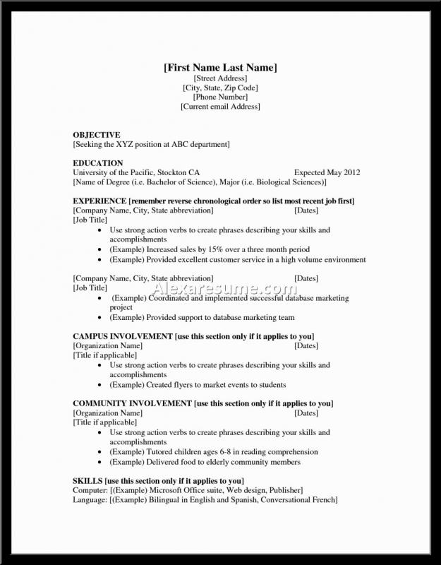 high schooler resume