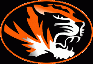 home builder logo tampa tigers logo