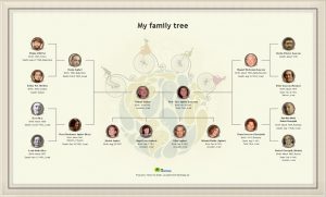 how to make family tree myfamilytree