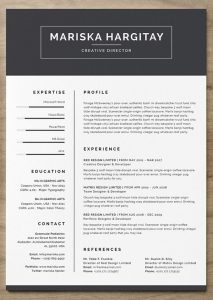 hybrid resume template more free resume templates to help you land the job