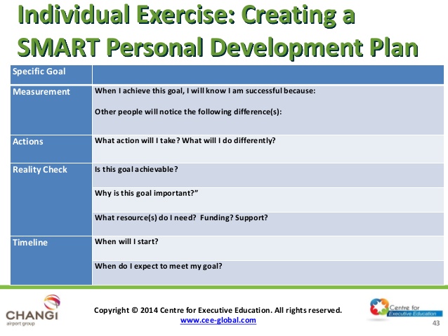 individual development plan examples