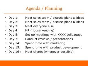 individual development plan examples first days as sales director sample