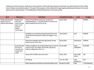 individual development plan template healthy retail idp