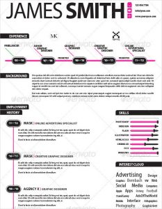 infographic resume template experienced infographic resume template indesign download