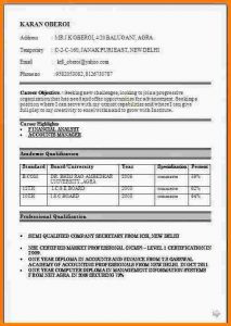 inventory sheet pdf resume format for fresher graduate resumeformat jpg