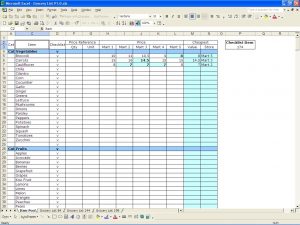 inventory spreadsheet template requirements template in excel