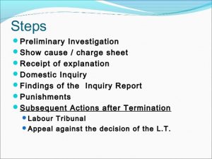 investigation report sample disciplinary procedure jdes