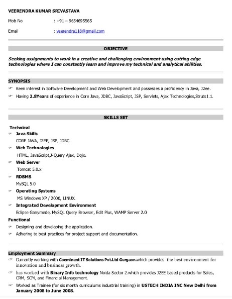 java developer resume