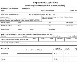 job application template job application template