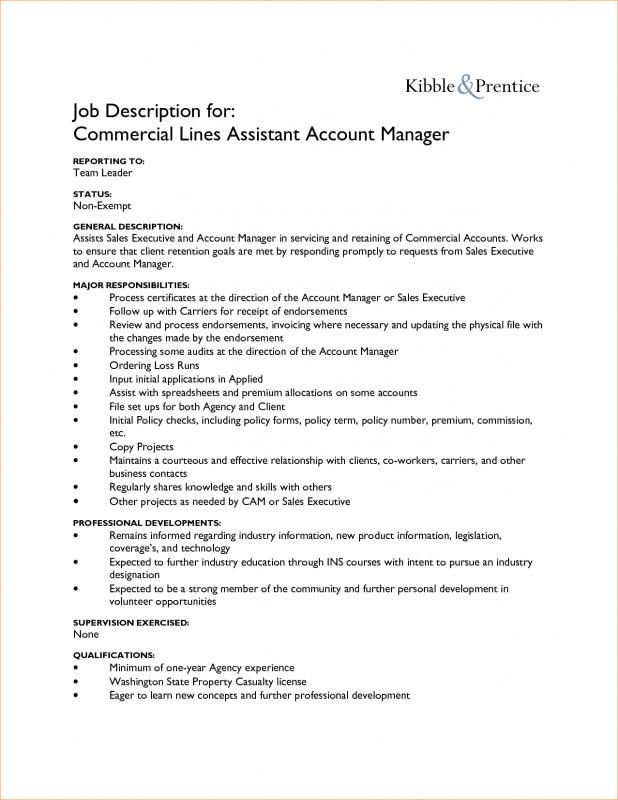 job description format