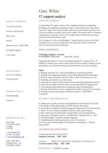 junior web developer resume pic it support analyst cv template