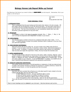 lab report layout lab report format example