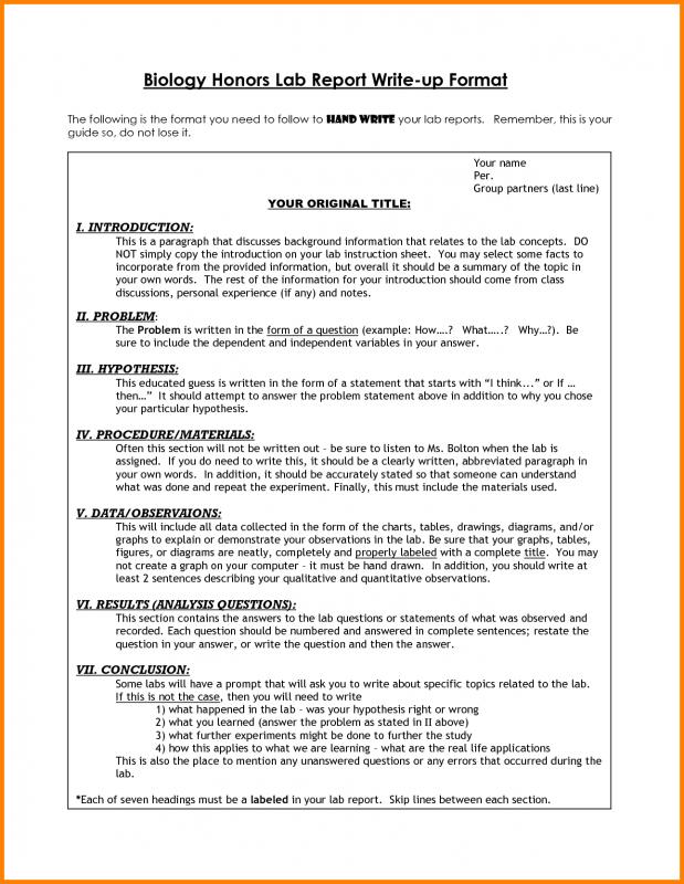 lab report layout