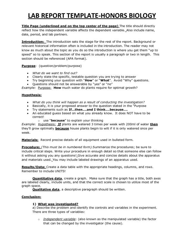 lab report layout