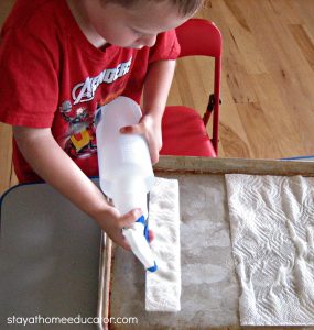 lesson plans for preschoolers how a cactus retains water experiment stay at home educator