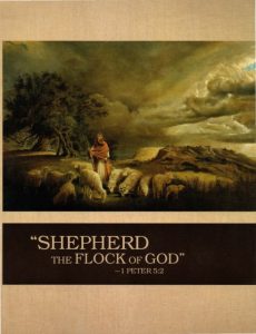 letter of harship shepherd flock cover ks