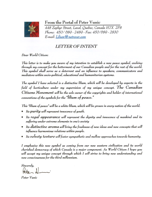 Letter Of Intention | Template Business