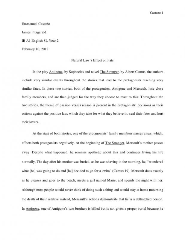 literary essay example