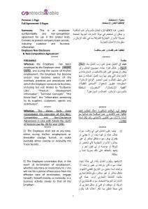 loan agreement pdf page px employee non disclosure agreements uae pdf