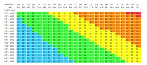 log book sample bmi chart