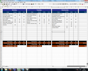 log spreadsheet template food diary