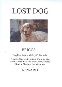 lost dog template lostdog