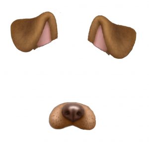 lost dog template original