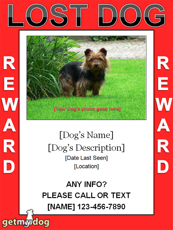 Lost Pet Template Template Business